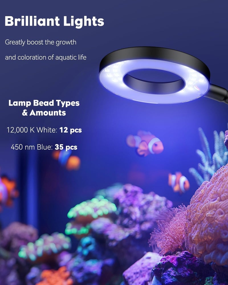 Pawfly Aquarium Light for 1-3 Gallon Saltwater Fish Tanks, Clip On LED Reef Light for Corals, Dimmable USB Aquarium Lamp with Full Spectrum Lighting and Timer (Adapter Not Included) - Image 5